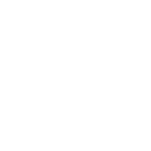 Proveza consultores, Consultores empresariales